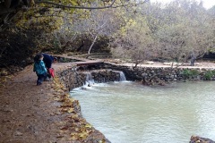 park Banias v zimě